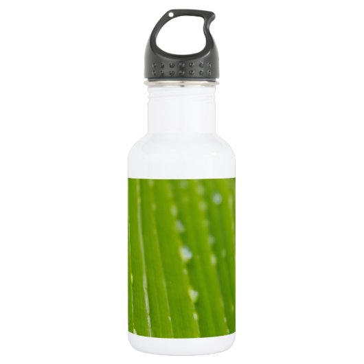 Flora Dominica 2 Waterfles (Voorkant)