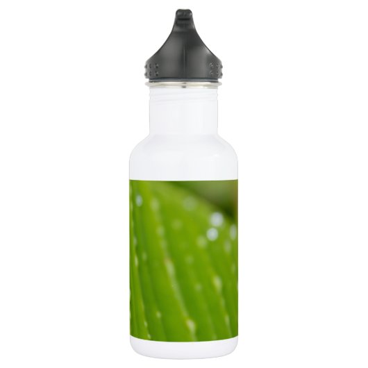 Flora Dominica 2 Waterfles (Rechts)