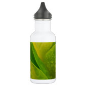 Flora Dominica 3 Waterfles (Links)