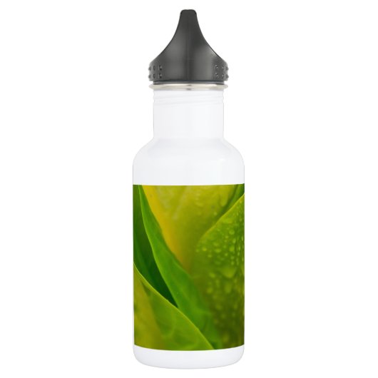 Flora Dominica 3 Waterfles (Links)