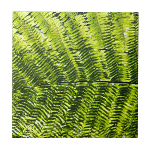 Flora Dominica 5 Tegeltje