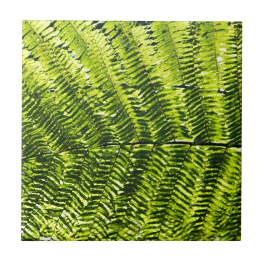 Flora Dominica 5 Tegeltje (Voorkant)
