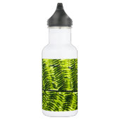 Flora Dominica 5 Waterfles (Rechts)