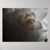 Flora Dramatica Poster (Voorkant)