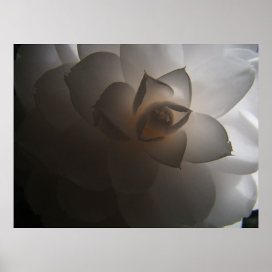 Flora Dramatica Poster (Voorkant)