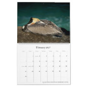 Flora en Fauna 2025 Kalender (Feb 2027)