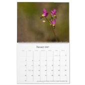 Flora en Fauna 2025 Kalender (Jan 2027)