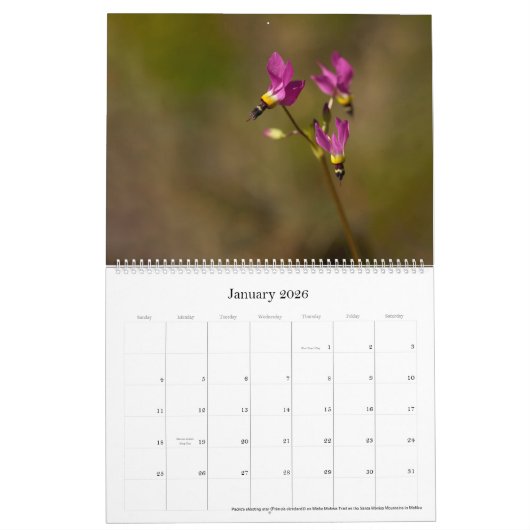 Flora en Fauna 2025 Kalender (Jan 2026)