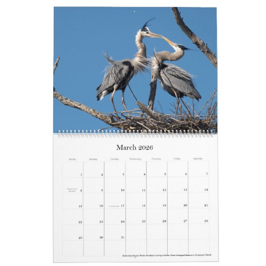 Flora en Fauna 2025 Kalender (Mar 2026)