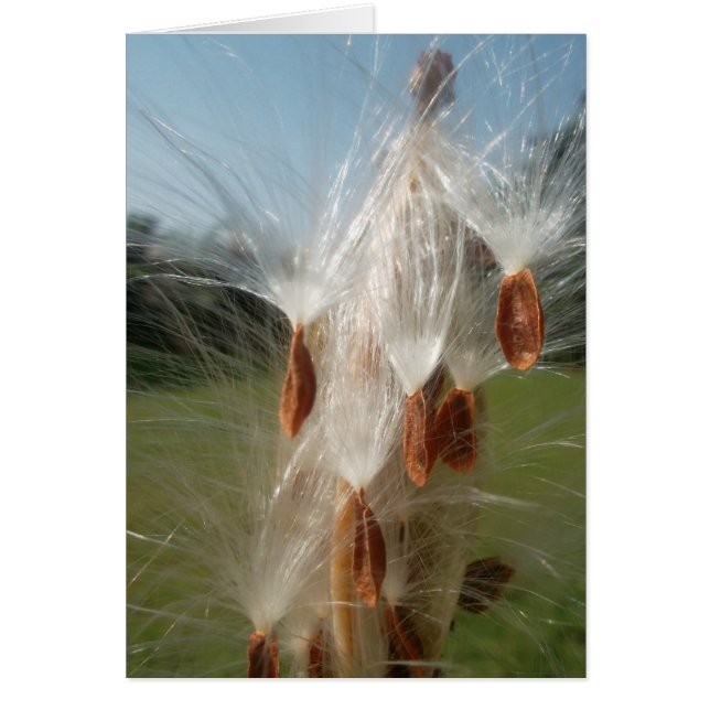  flora en fauna en moerassen drijvend.jpg (Voorkant)