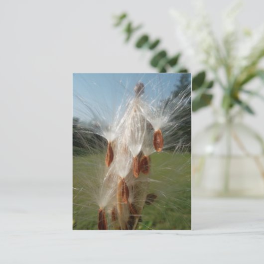  flora en fauna en moerassen drijvend.jpg briefkaart (Staand voorkant)