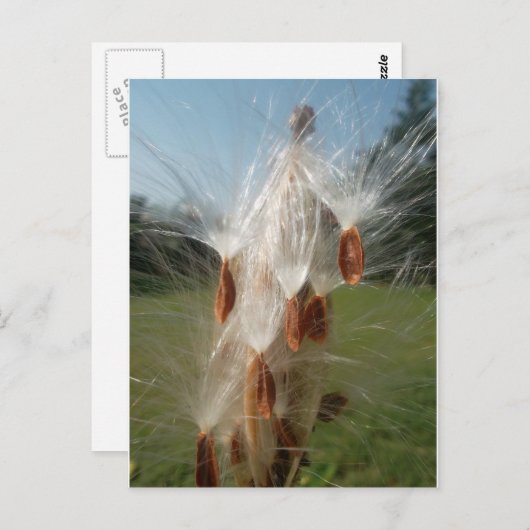  flora en fauna en moerassen drijvend.jpg briefkaart (Voorkant / Achterkant)