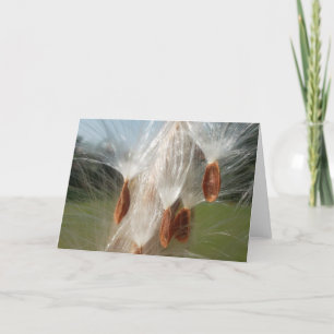  flora en fauna en moerassen drijvend.jpg kaart