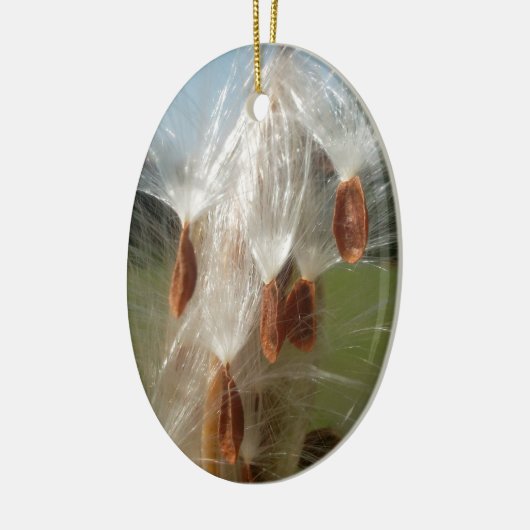  flora en fauna en moerassen drijvend.jpg keramisch ornament (Links)