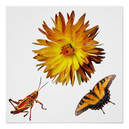 Flora en fauna perfect poster (Voorkant)
