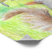 Flora en fauna poster (Hoek)