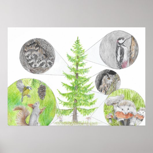 Flora en fauna poster (Voorkant)