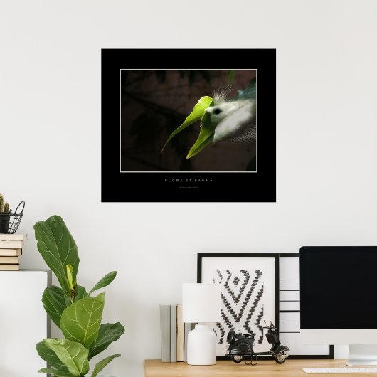 Flora en fauna poster (Thuiskantoor)