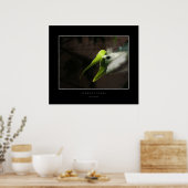 Flora en fauna poster (Keuken)