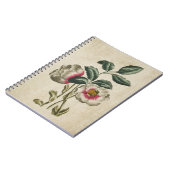  flora-fauna-Hellebore-illustratie Notitieboek (Linkerzijde)