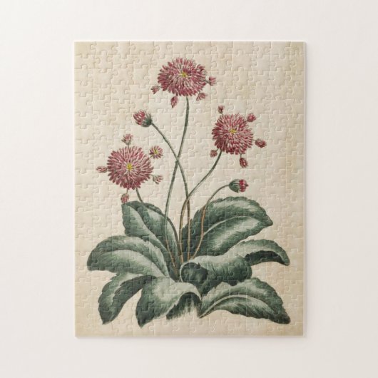  flora-fauna legpuzzel (Verticaal)