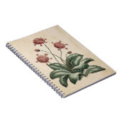 flora-flora-illustratie notitieboek (Rechterzijde)