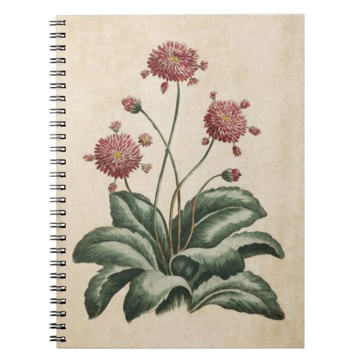 flora-flora-illustratie notitieboek (Voorkant)