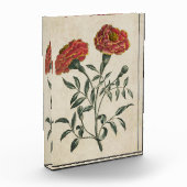  flora Franse marigold Fotoblokken (Links)