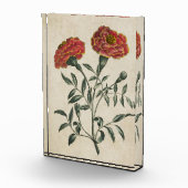  flora Franse marigold Fotoblokken (Rechts)