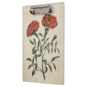  flora Franse marigold Klembord (Links)