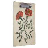  flora Franse marigold Klembord (Rechts)