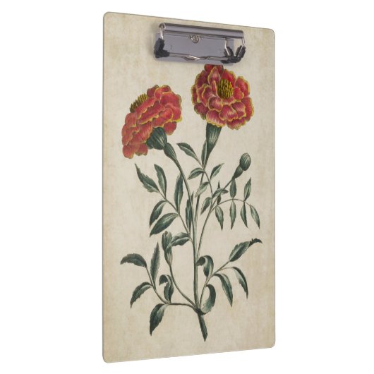  flora Franse marigold Klembord (Rechts)