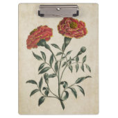  flora Franse marigold Klembord (Voorkant)