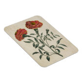  flora Franse marigold Magnet Magneet (Rechterzijde)