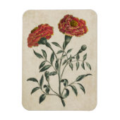  flora Franse marigold Magnet Magneet (Verticaal)
