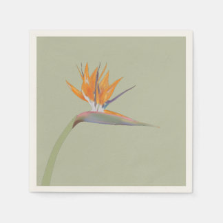 Flora I: Bird of Paradise - Papieren servet