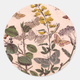  flora-illustratie Wildbloemen Ronde Sticker