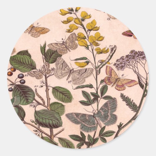  flora-illustratie Wildbloemen Ronde Sticker (Voorkant)