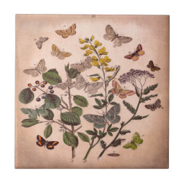  flora-illustratie Wildbloemen Tegeltje