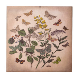 flora-illustratie Wildbloemen Tegeltje