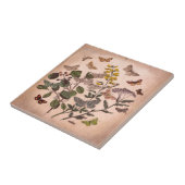  flora-illustratie Wildbloemen Tegeltje (Zijkant)