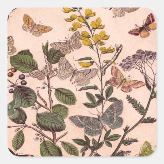  flora-illustratie Wildbloemen Vierkante Sticker (Voorkant)