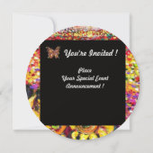 FLORA IN TOSCANE/ Velden ,Klaprozen en Zonnebloeme Kaart (Achterkant)