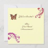 FLORA IN TUSCANIE/ Velden ,Klaprozen en Zonnebloem Kaart (Achterkant)