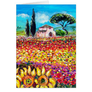 FLORA IN TUSCANY/Fields, papavers en zonnebloemen