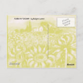 FLORA IN TUSCANY/Fields, papavers en zonnebloemen Briefkaart (Achterkant)