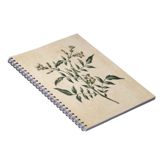  flora Jasmine-illustratie Notitieboek (Rechterzijde)