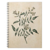  flora Jasmine-illustratie Notitieboek (Voorkant)