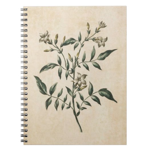 flora Jasmine-illustratie Notitieboek (Voorkant)