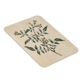  flora Jasmine Magnet Magneet (Rechterzijde)